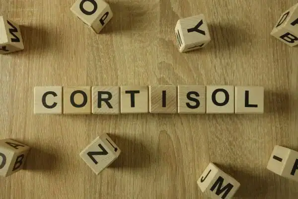 The Hidden Connection: How Stress Shapes Your Fitness and Body Composition 2 Image saying "Cortisol" and how stress Poole impacts your wellbeing and bodies shape